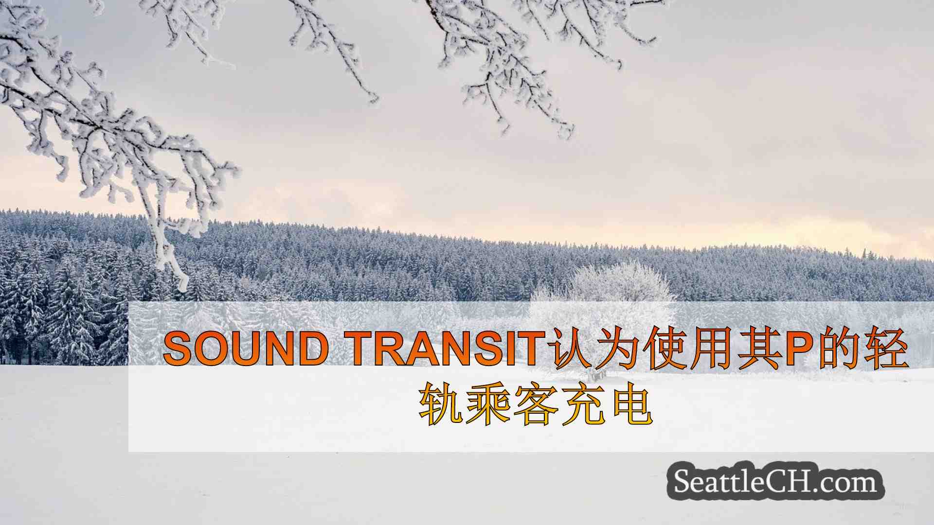 西雅图新闻 SeattleCH