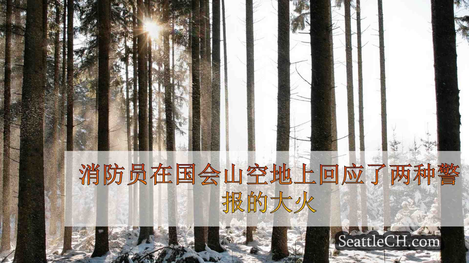 西雅图新闻 SeattleCH