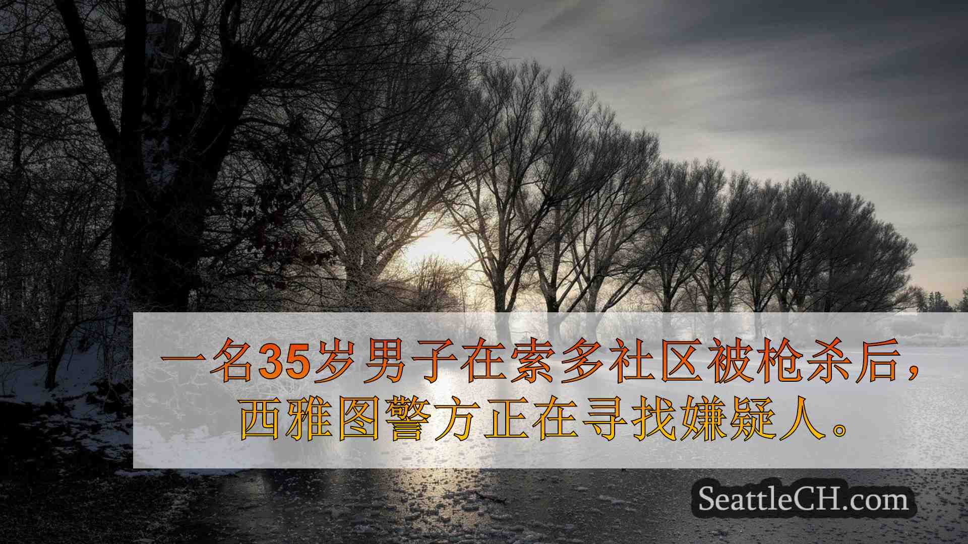 西雅图新闻 SeattleCH