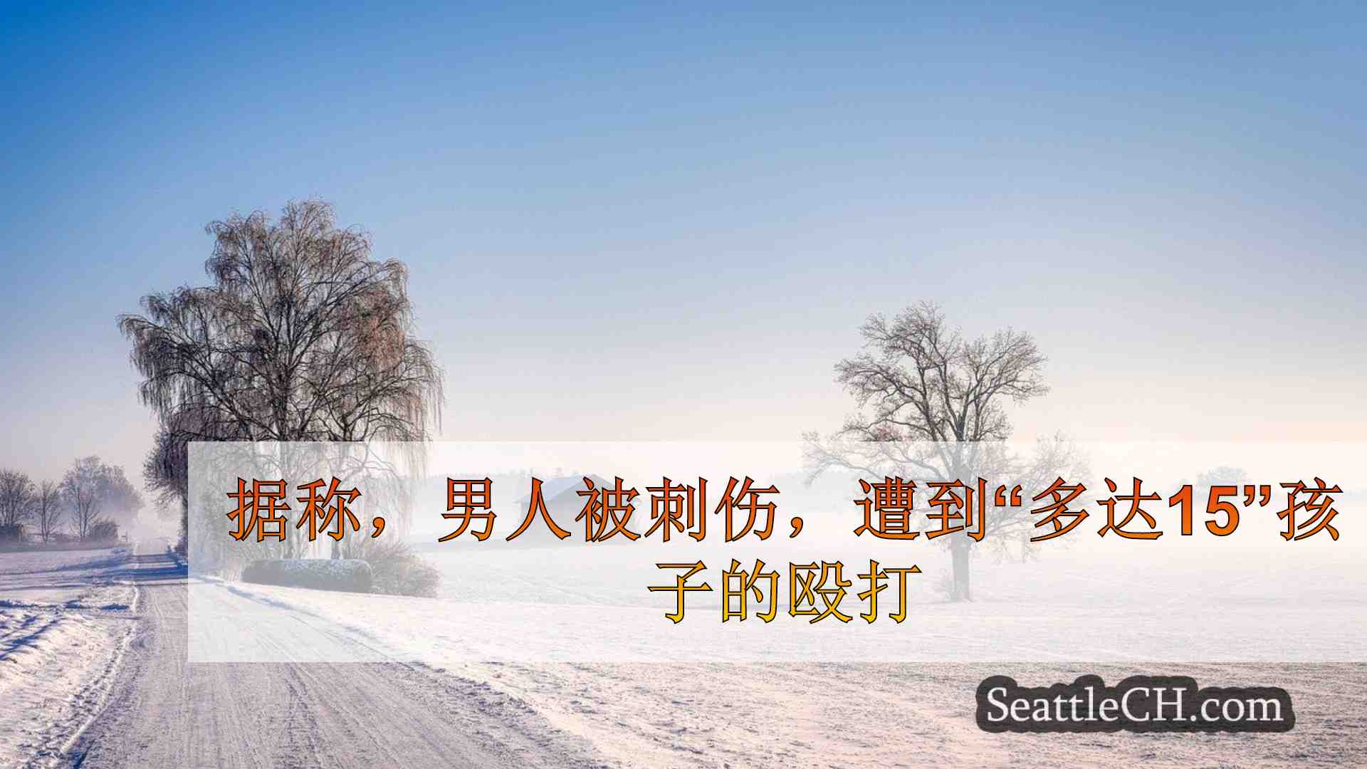 西雅图新闻 SeattleCH