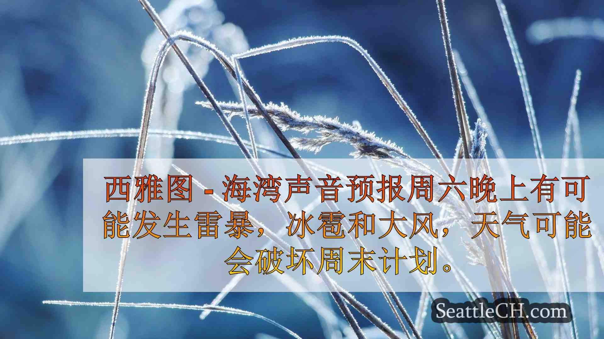 西雅图新闻 SeattleCH