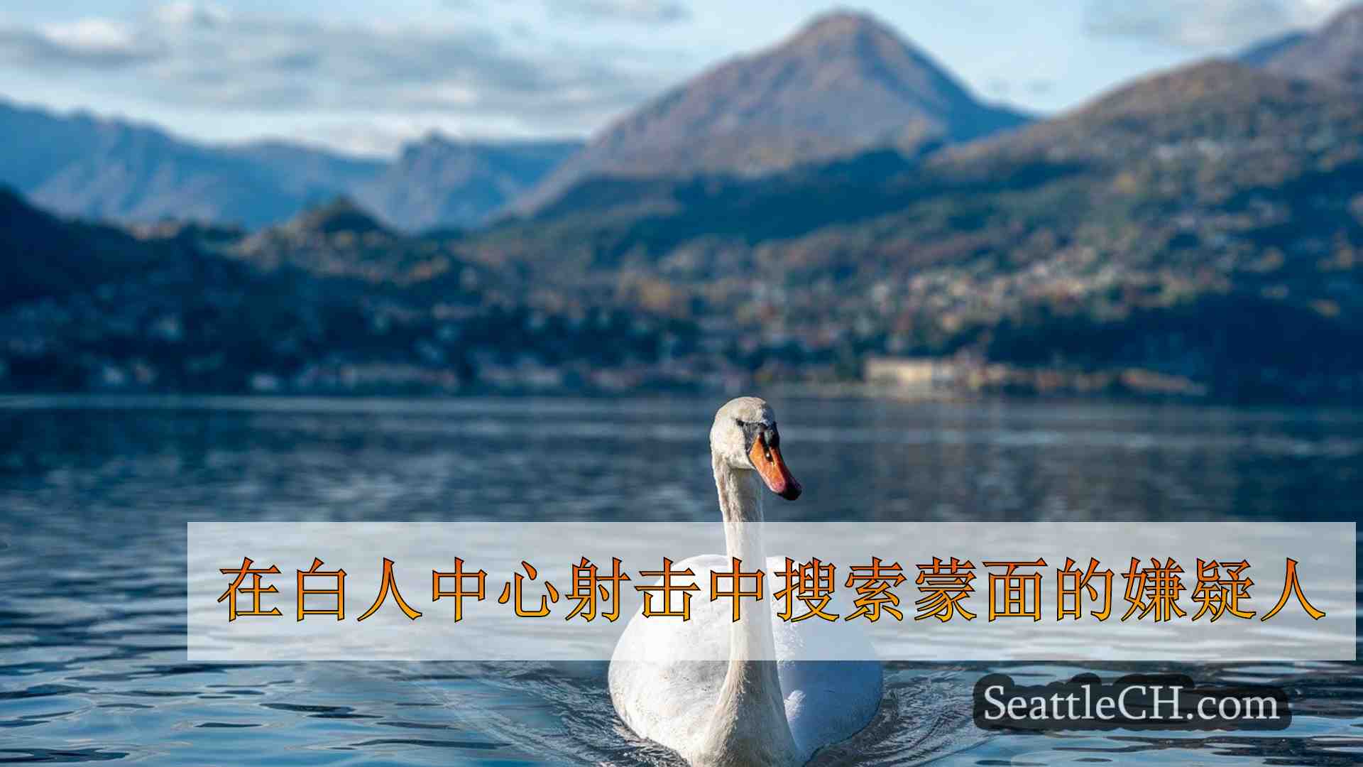 西雅图新闻 SeattleCH