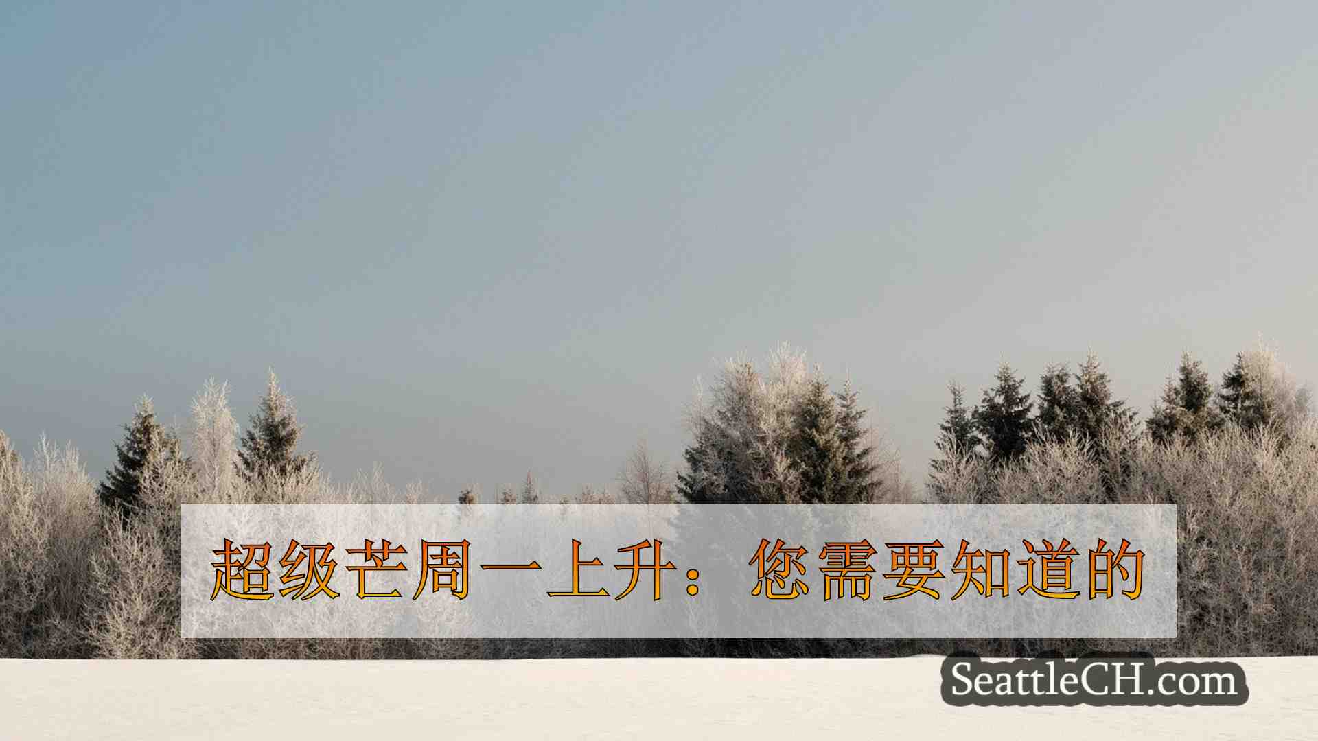 西雅图新闻 SeattleCH