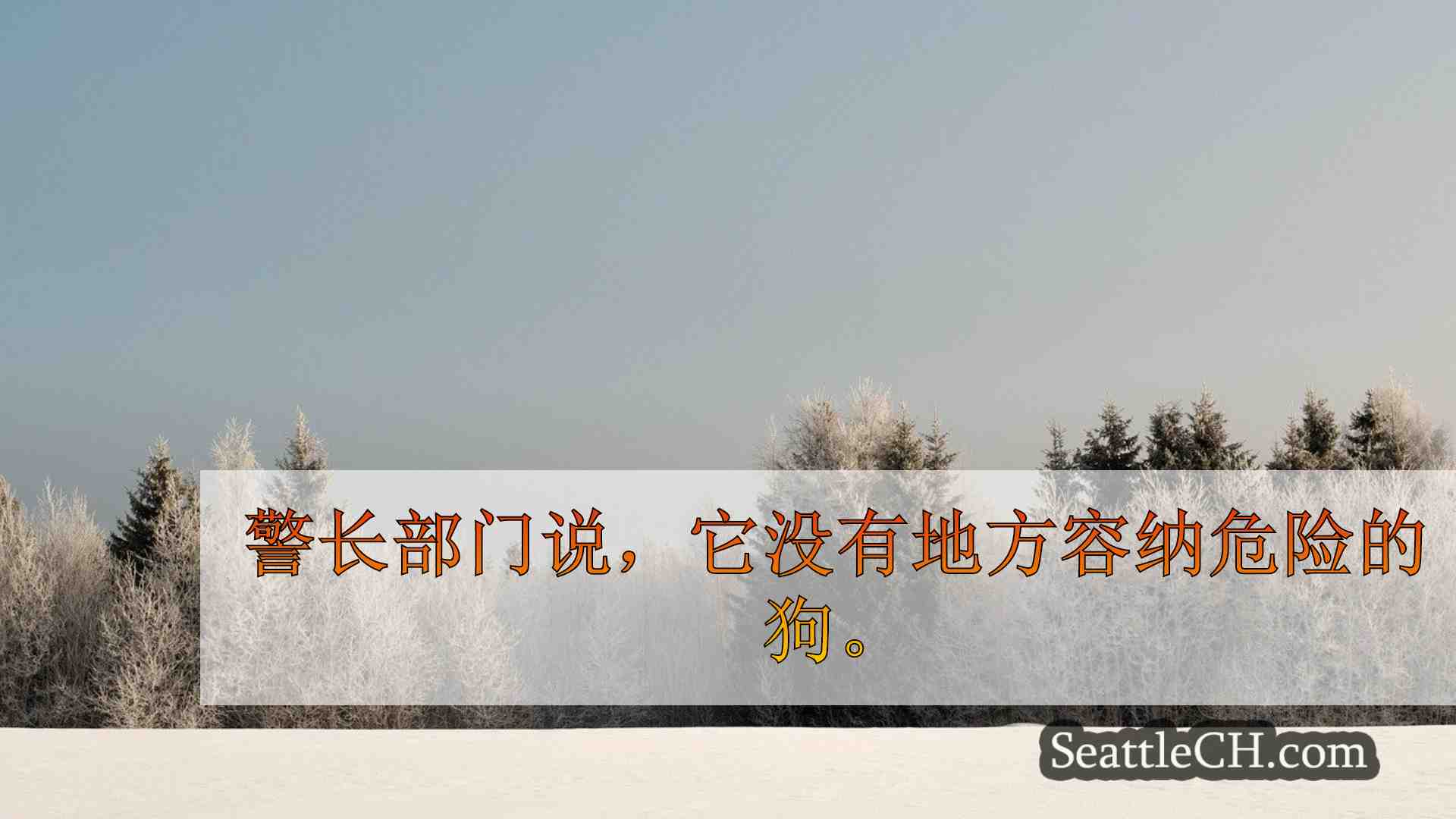 西雅图新闻 SeattleCH