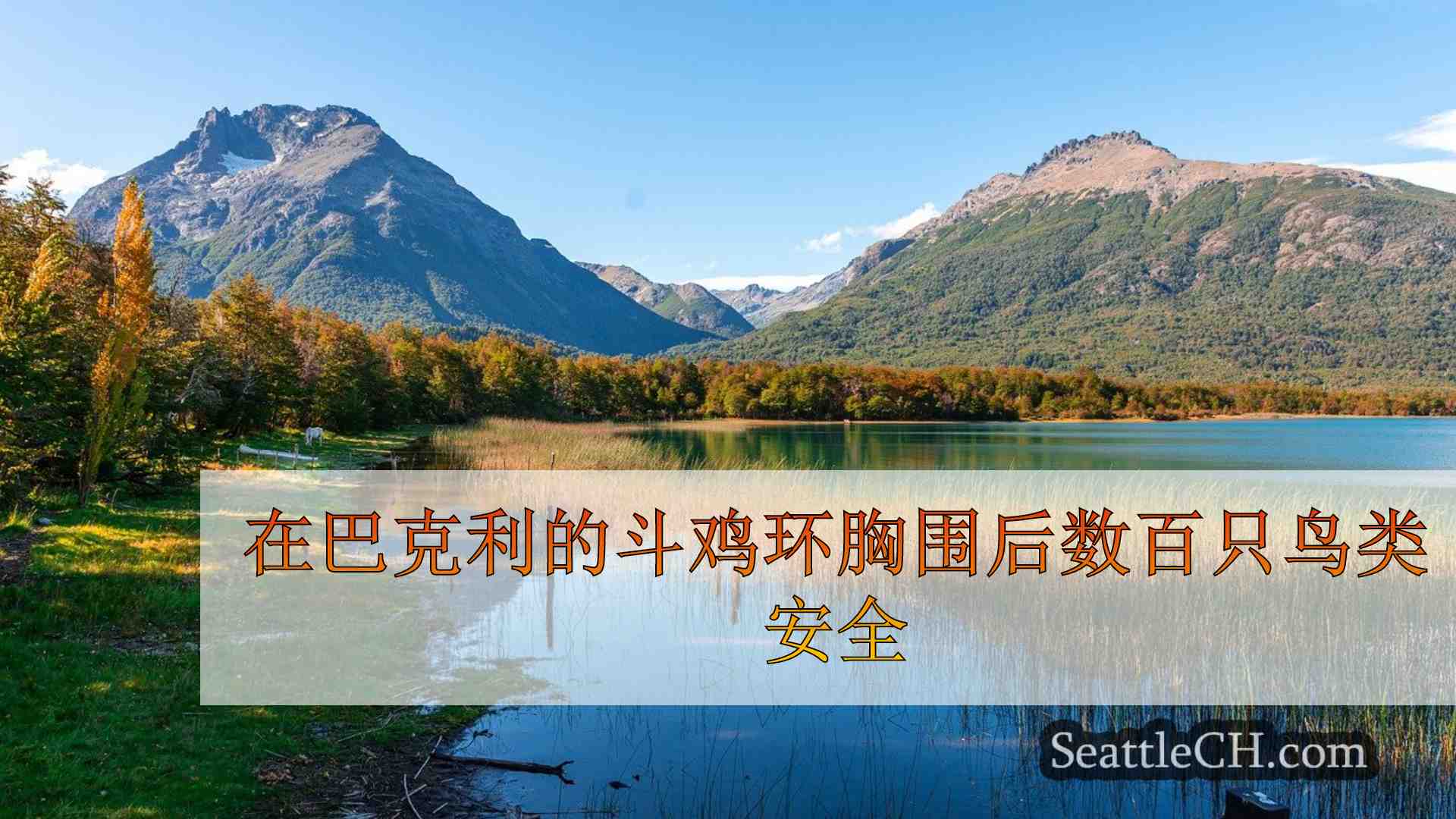 西雅图新闻 SeattleCH