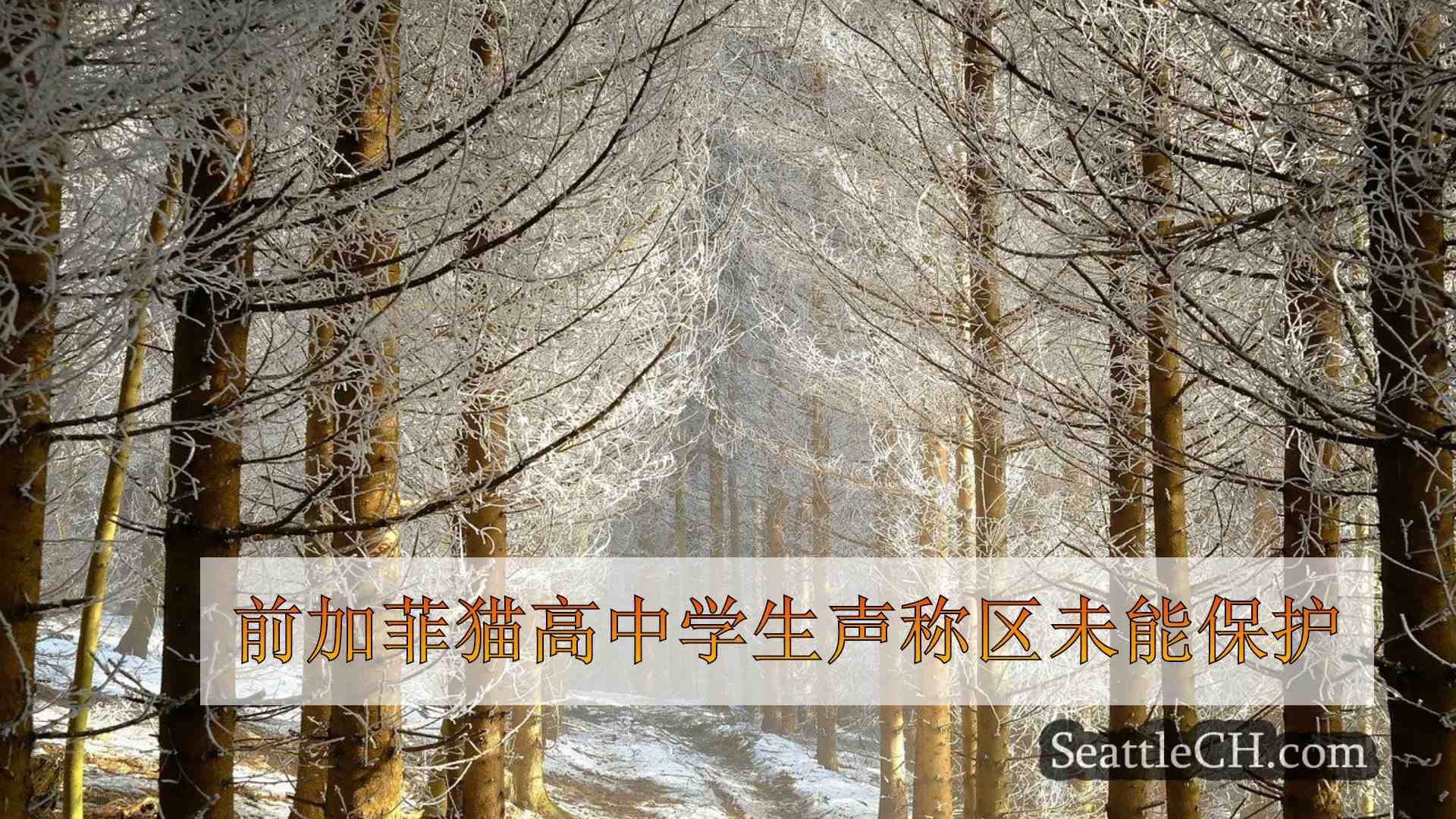 西雅图新闻 SeattleCH