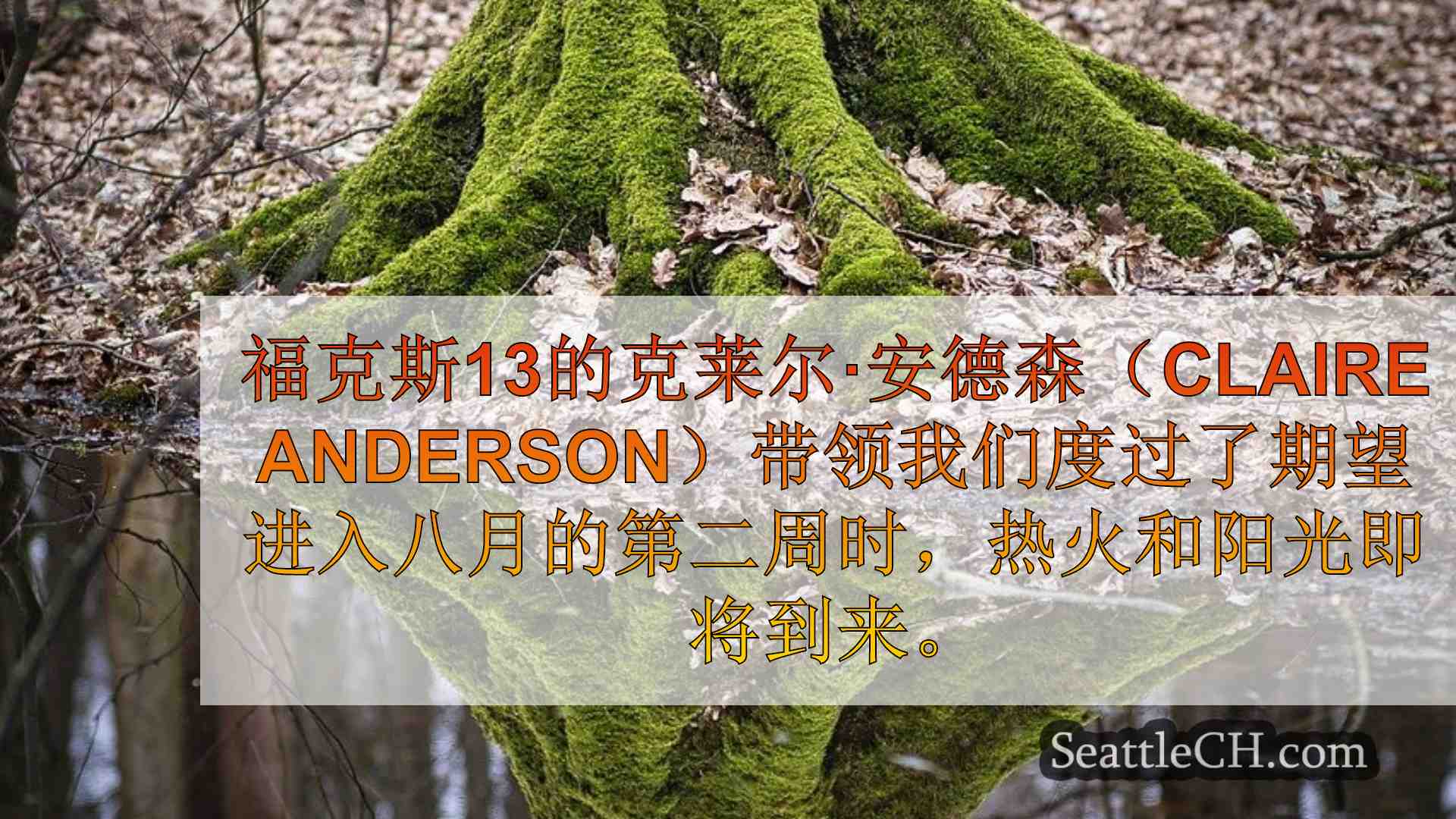西雅图新闻 SeattleCH