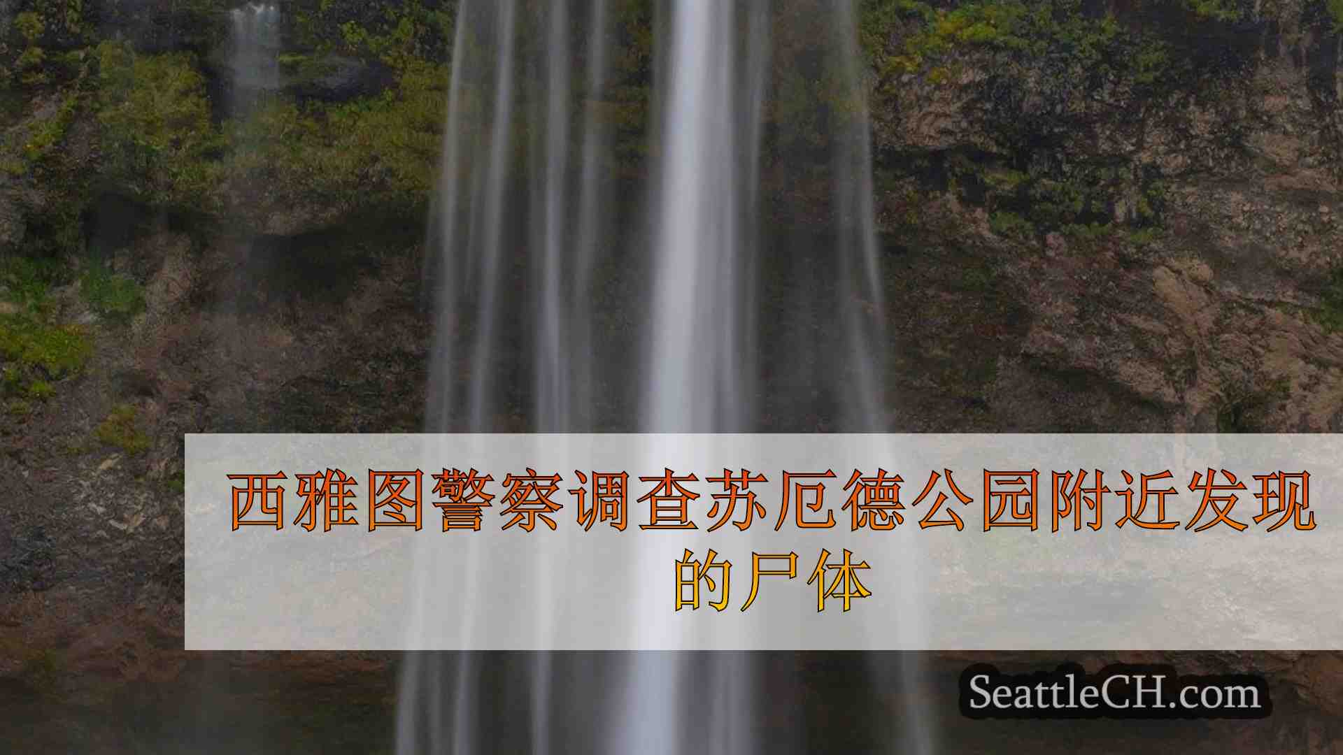 西雅图新闻 SeattleCH