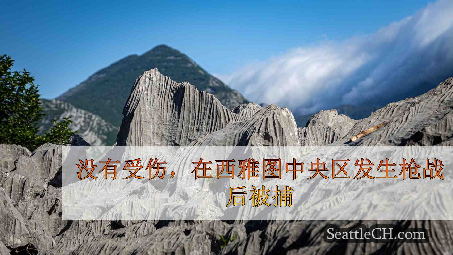 西雅图新闻 SeattleCH