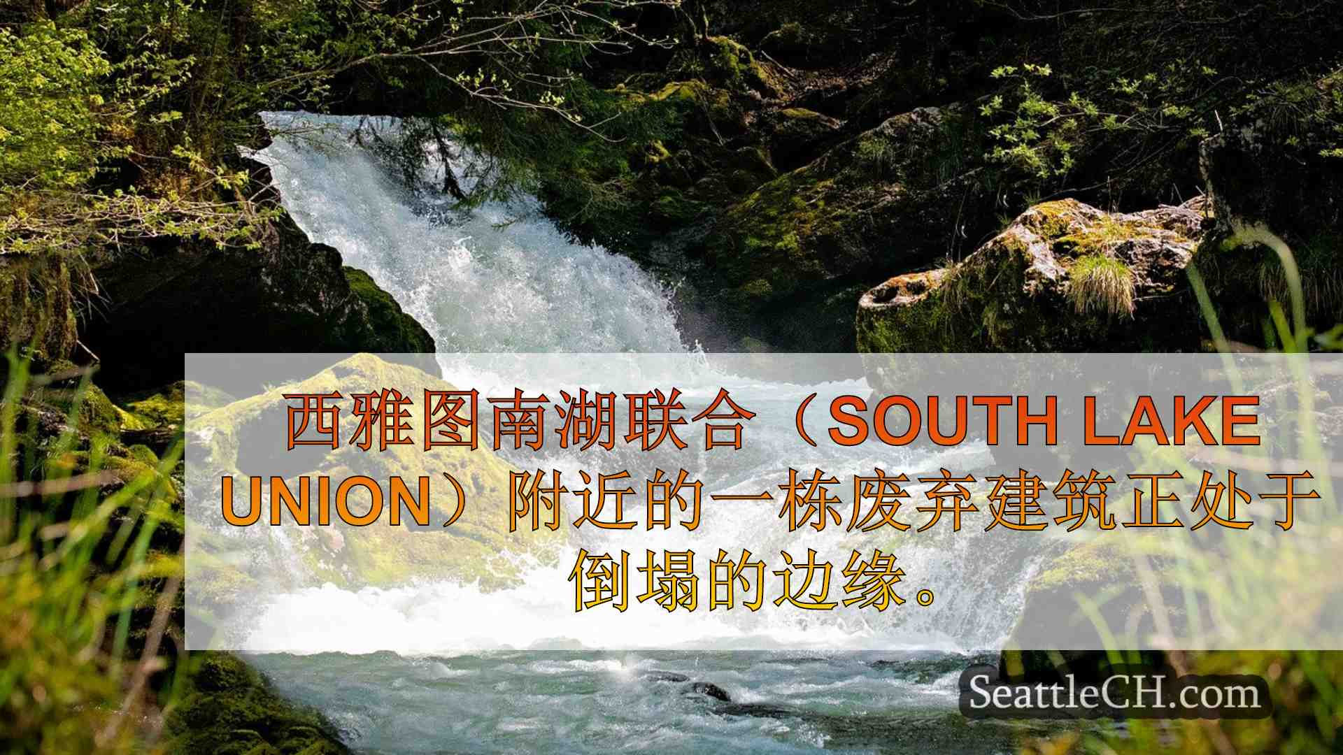 西雅图新闻 SeattleCH