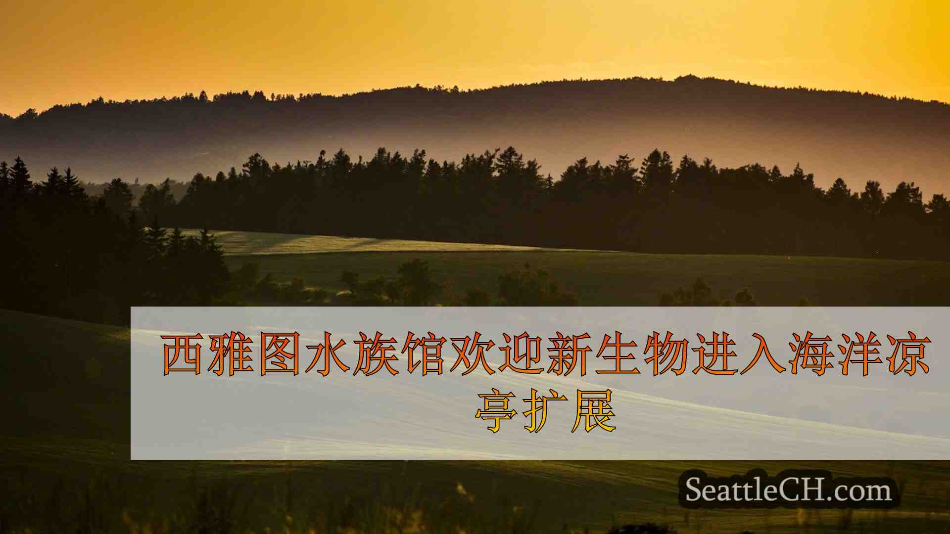 西雅图新闻 SeattleCH