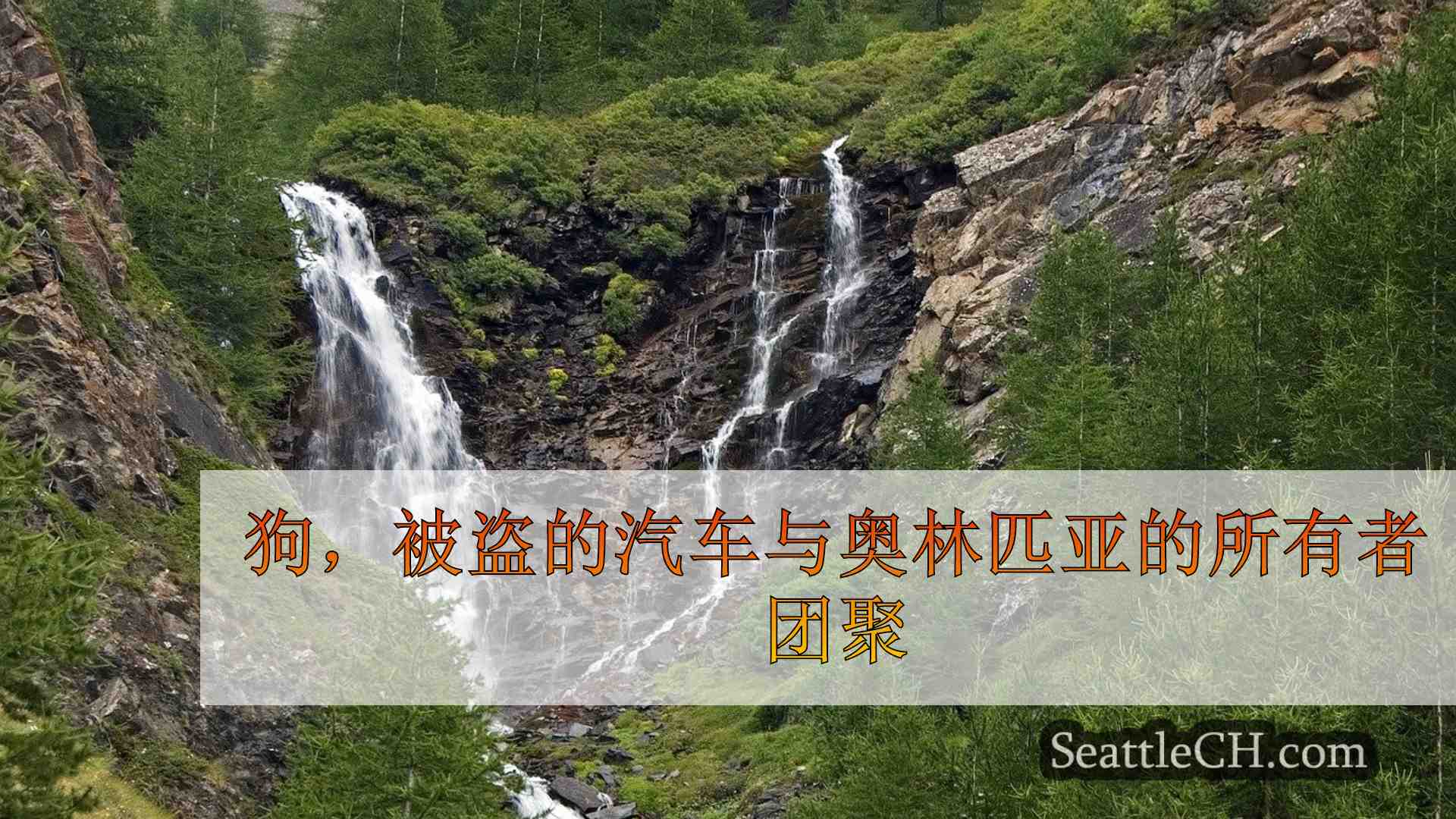 西雅图新闻 SeattleCH