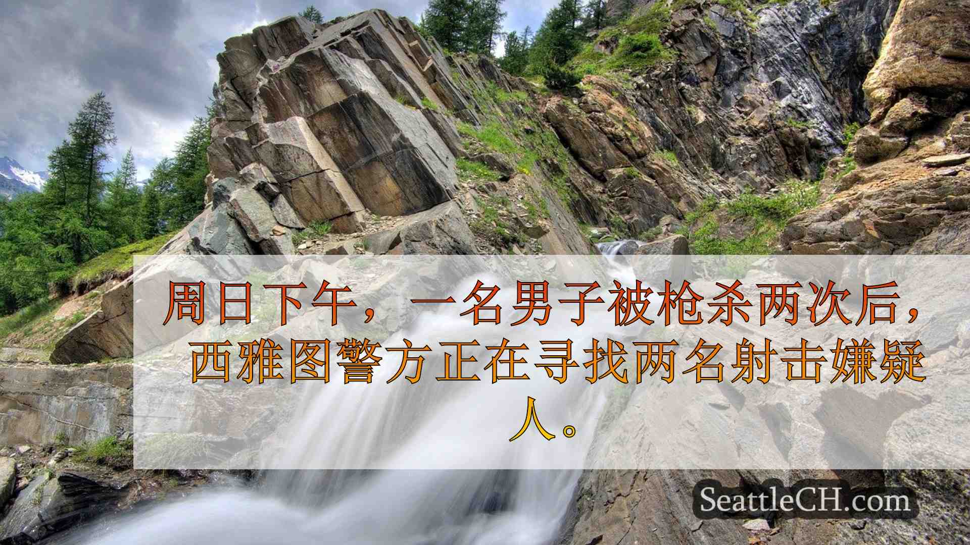 西雅图新闻 SeattleCH