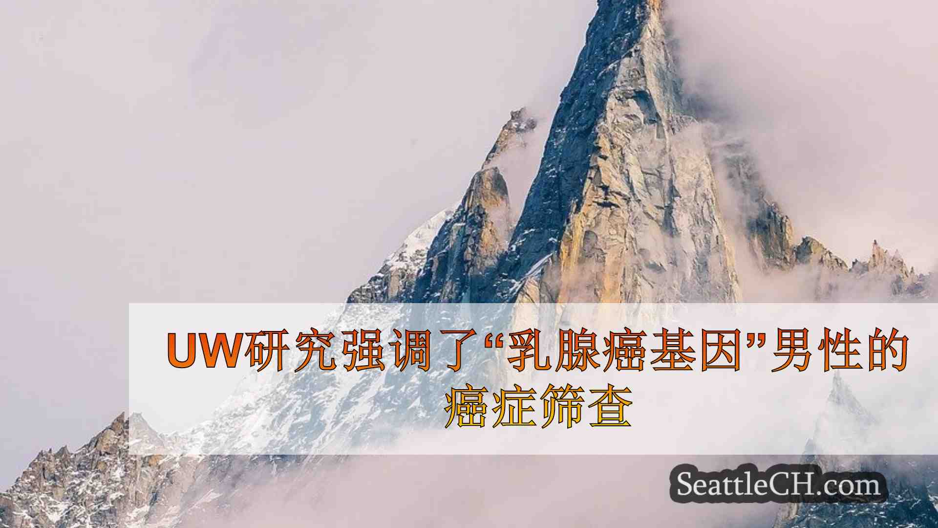 西雅图新闻 SeattleCH