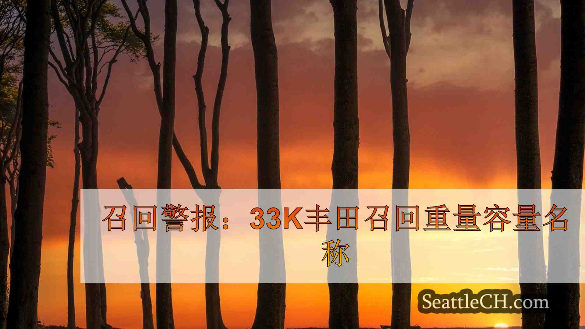 西雅图新闻 SeattleCH
