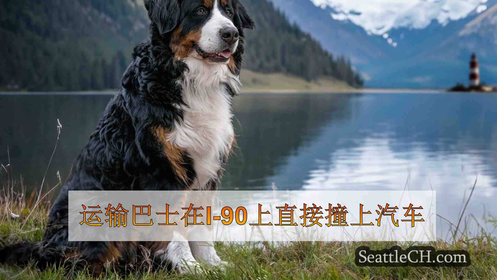 西雅图新闻 SeattleCH