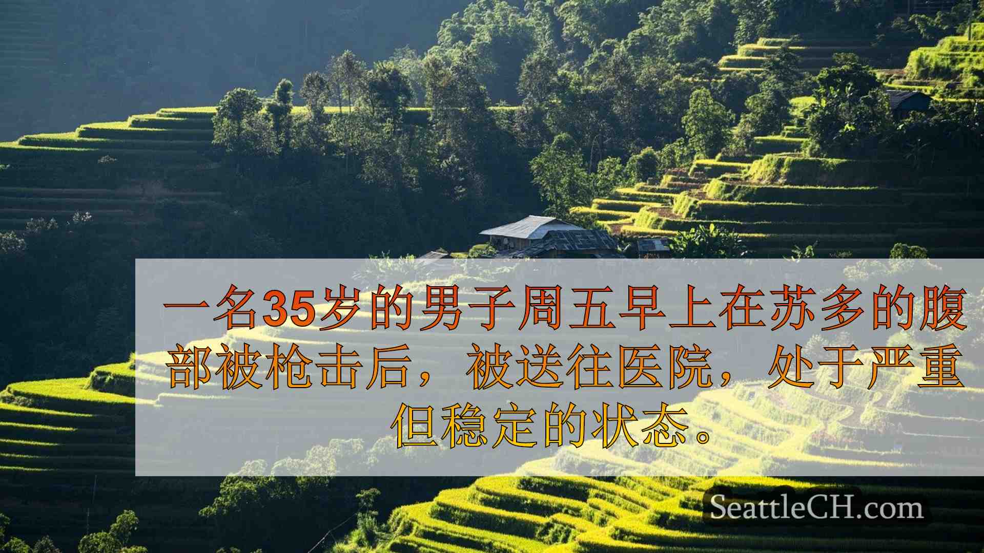西雅图新闻 SeattleCH