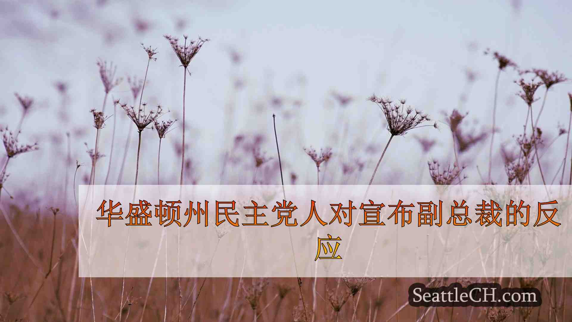 西雅图新闻 SeattleCH