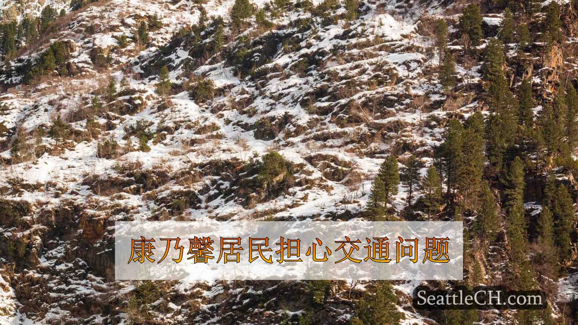 康乃馨居民担心大音乐节可能带给他们小城市的交通问题