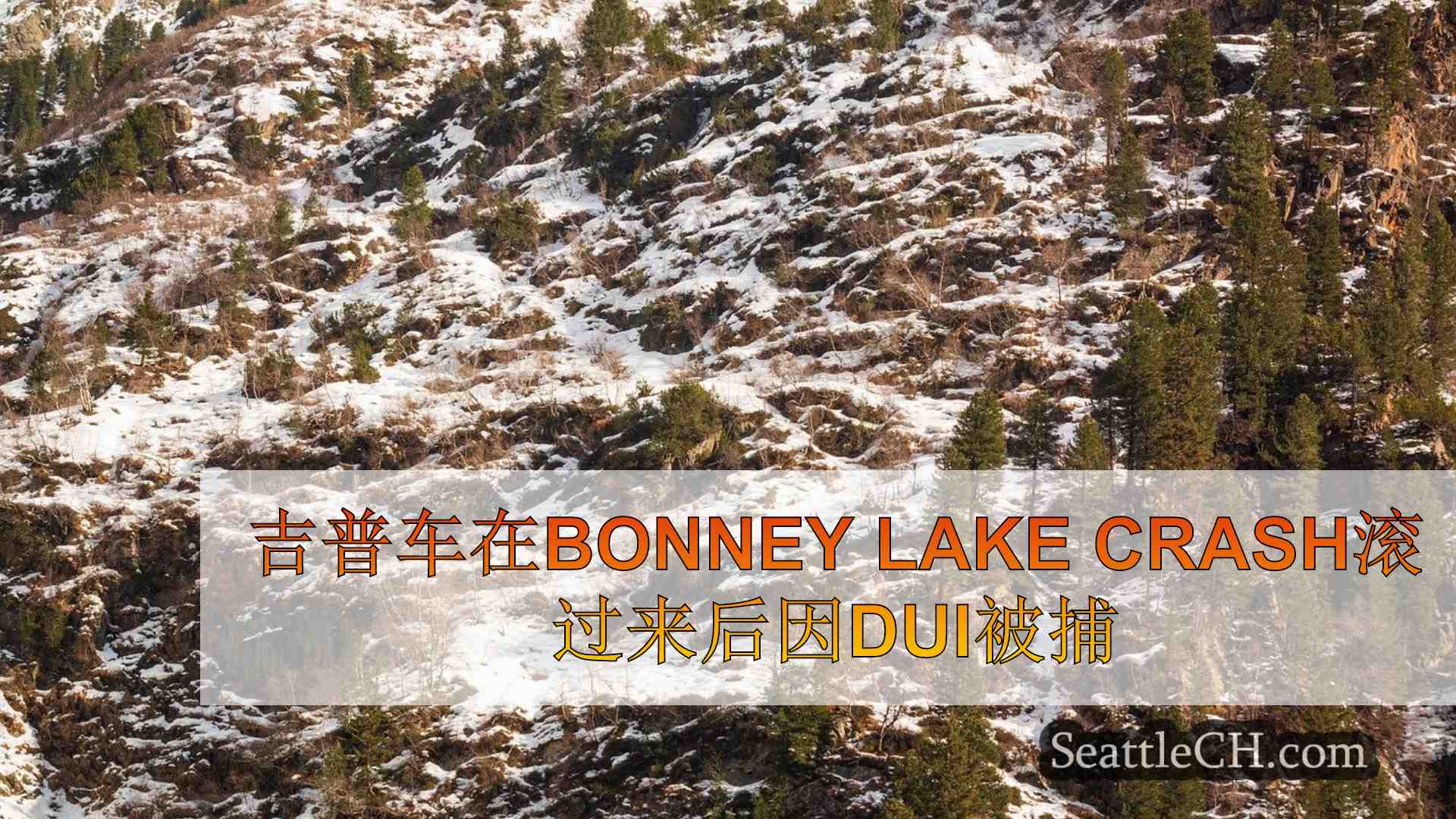 西雅图新闻 SeattleCH
