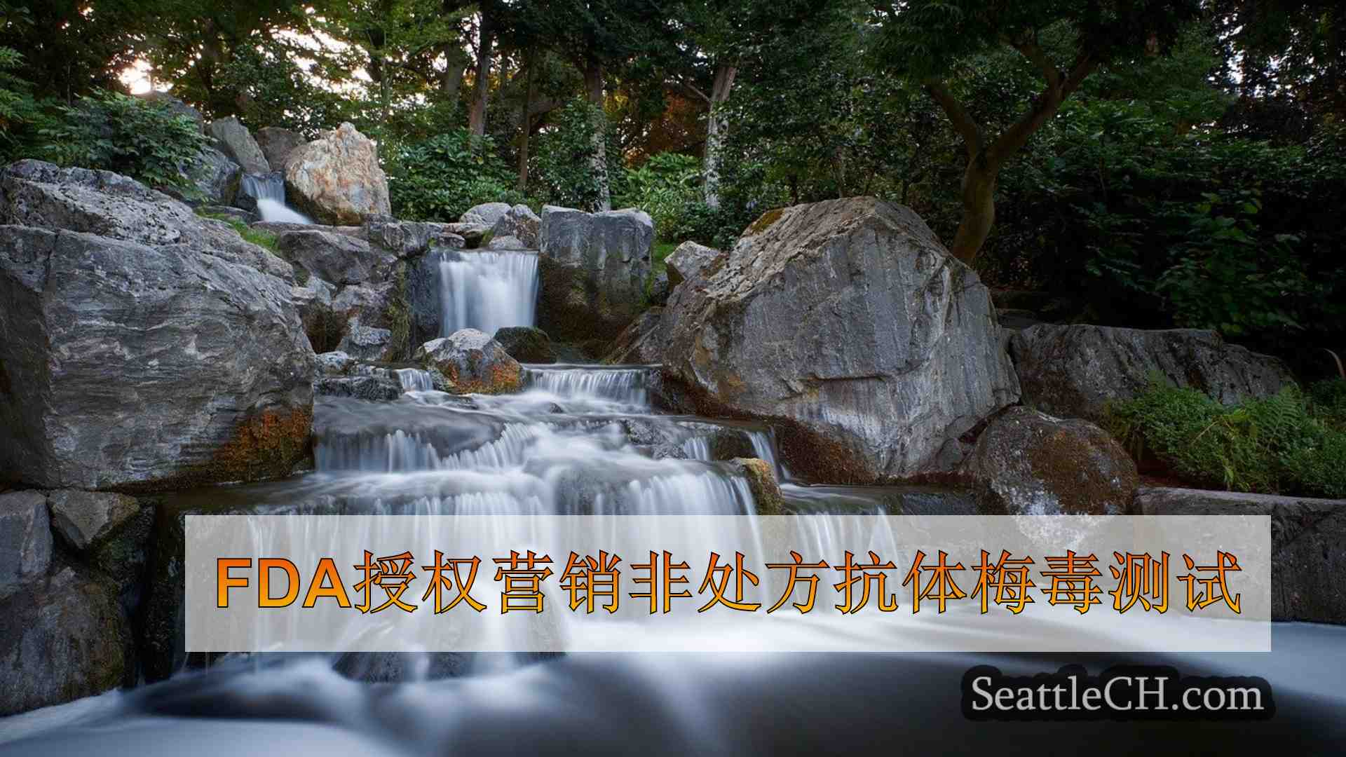 西雅图新闻 SeattleCH