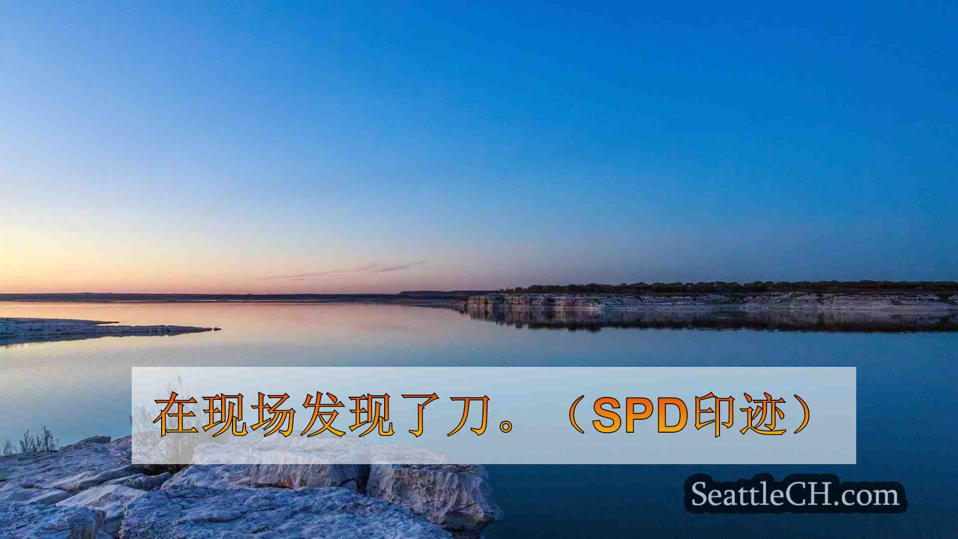 盲人男子在西雅图南部刺伤，特警逮捕嫌疑人