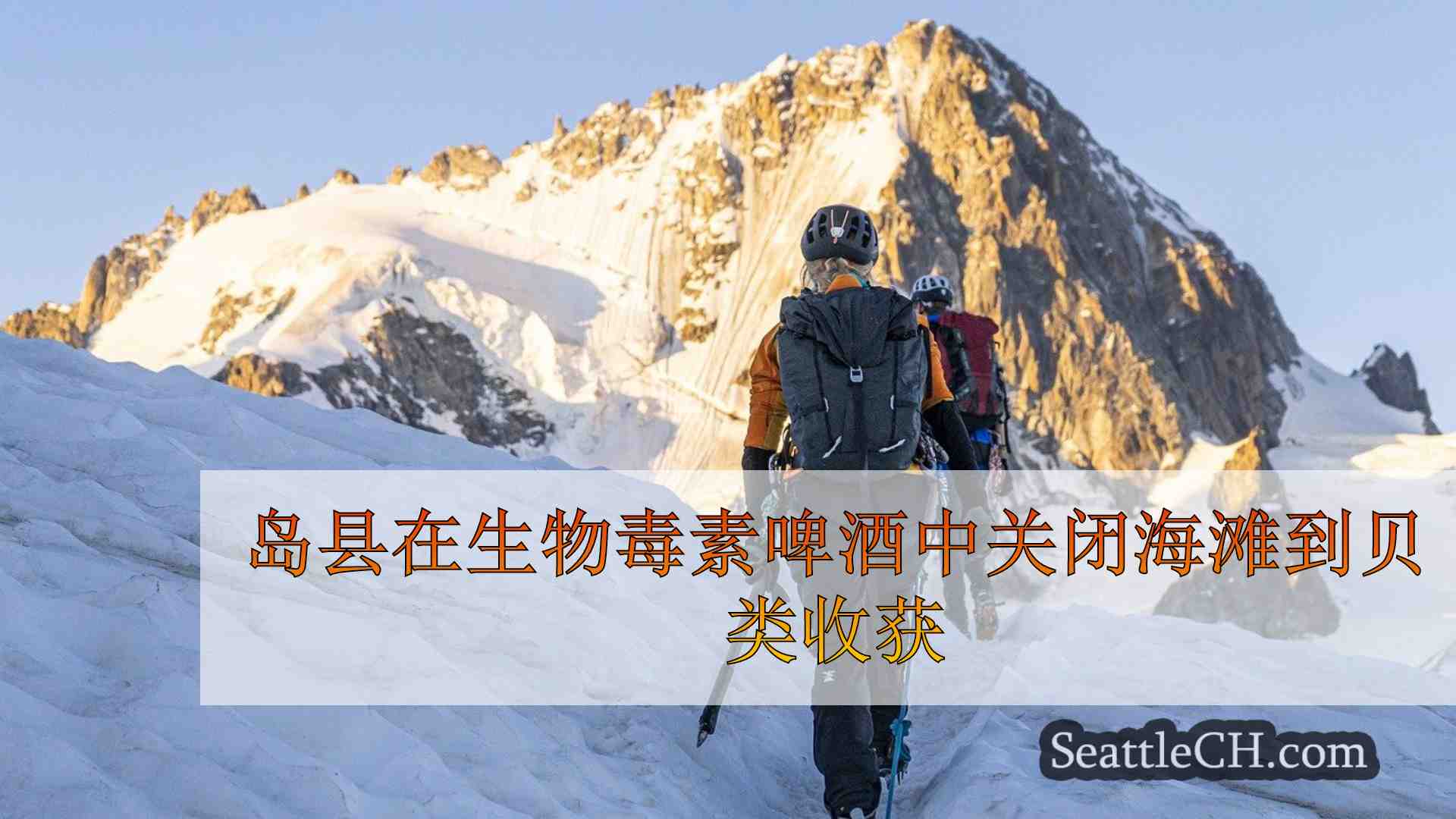 西雅图新闻 SeattleCH