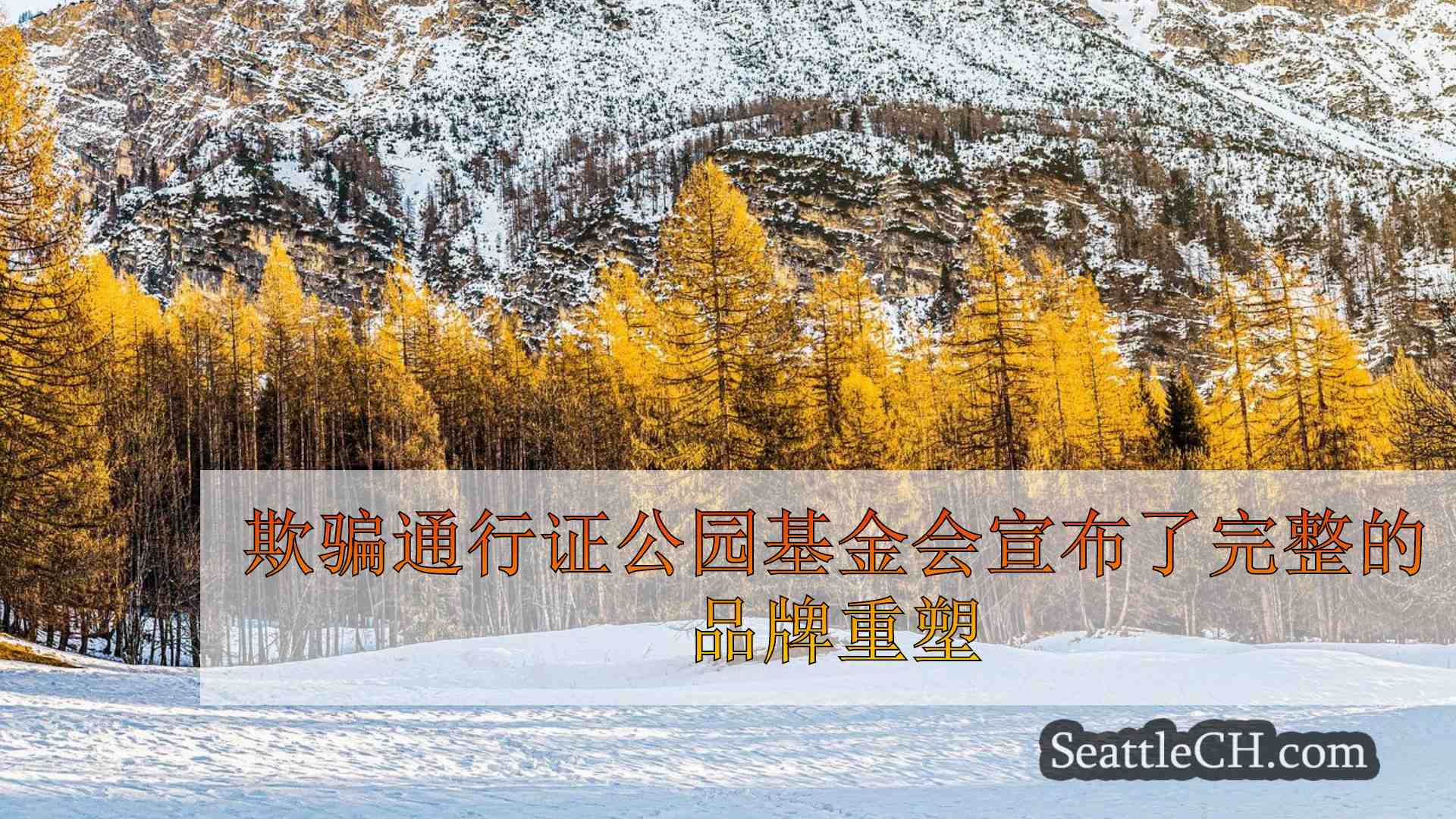西雅图新闻 SeattleCH