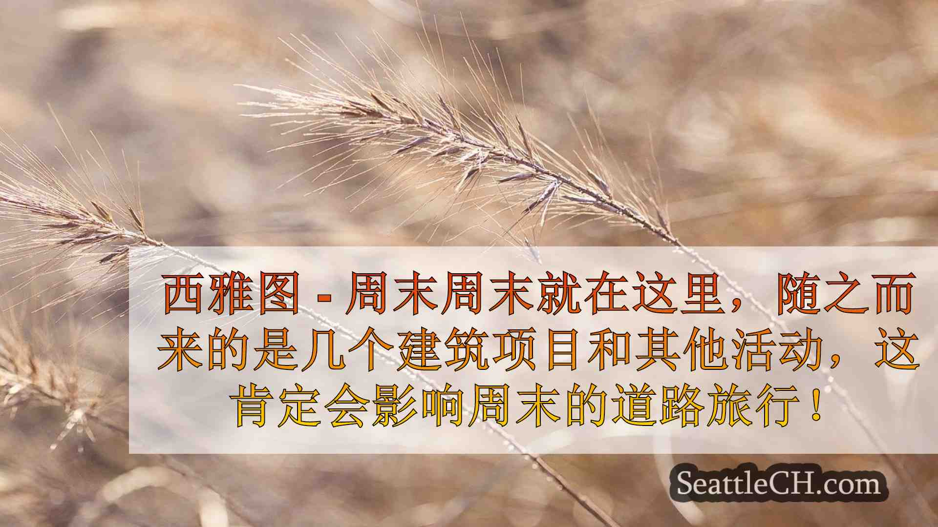 西雅图新闻 SeattleCH