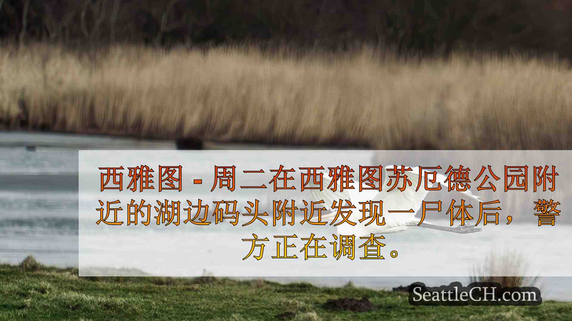 西雅图新闻 SeattleCH