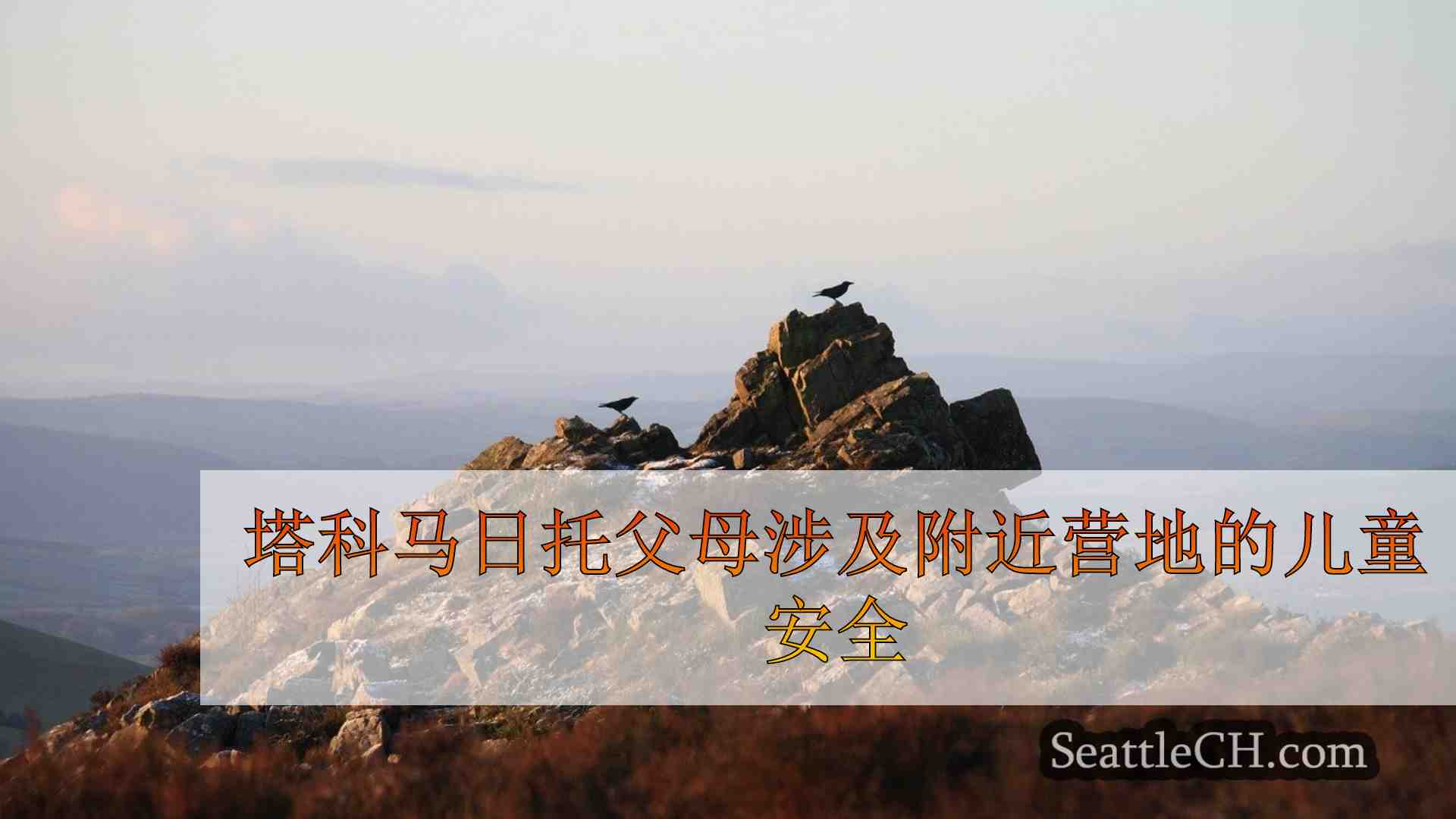 西雅图新闻 SeattleCH