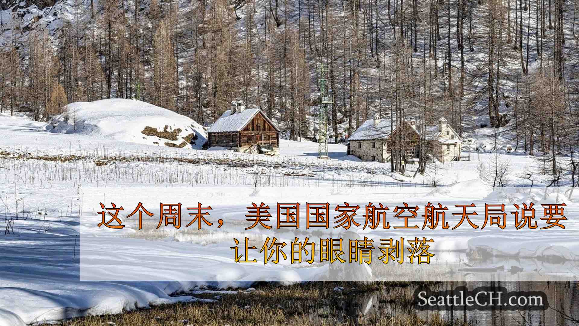 西雅图新闻 SeattleCH