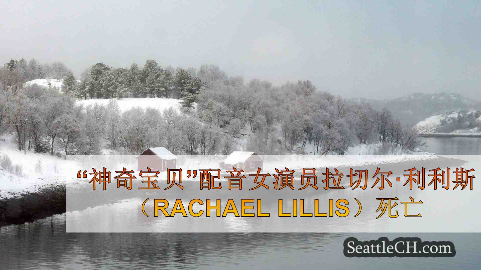 西雅图新闻 SeattleCH