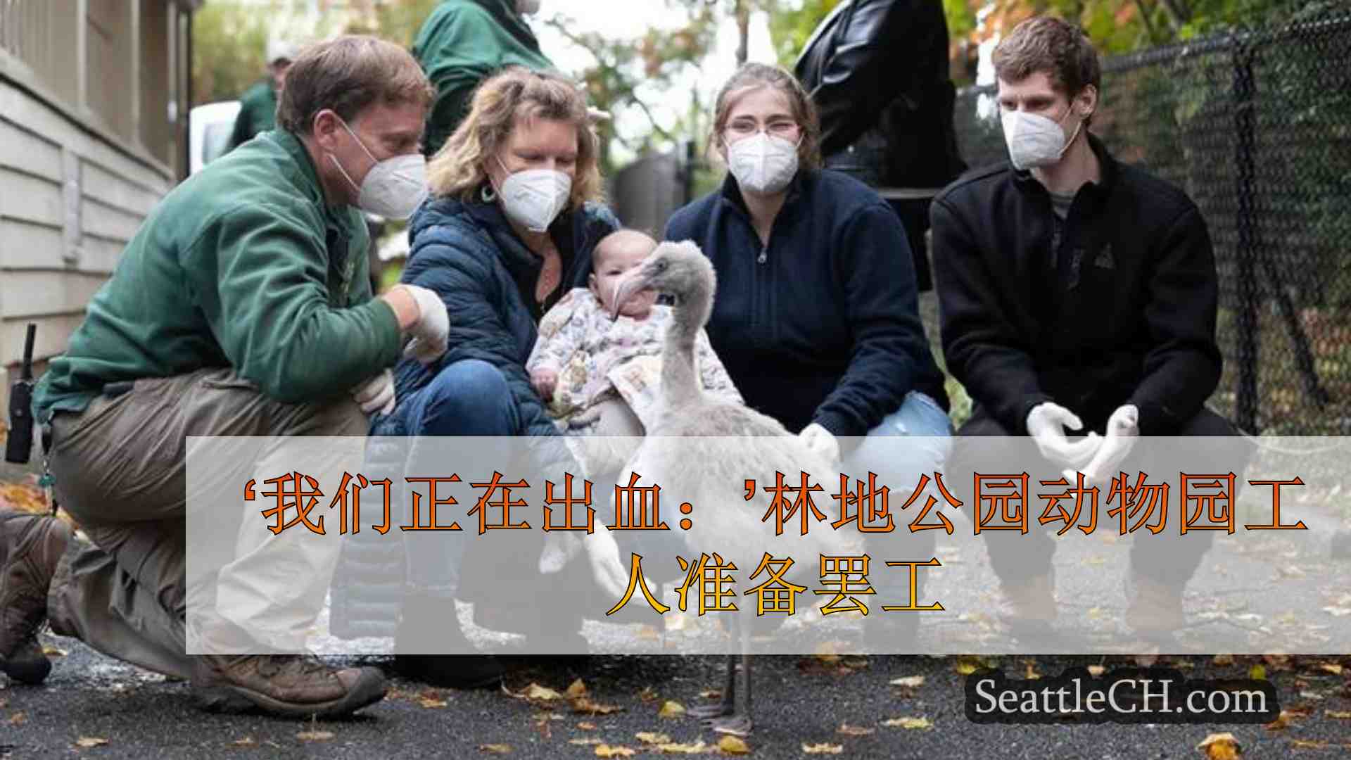 ‘我们正在出血：’林地公园动物园工人准备罢工