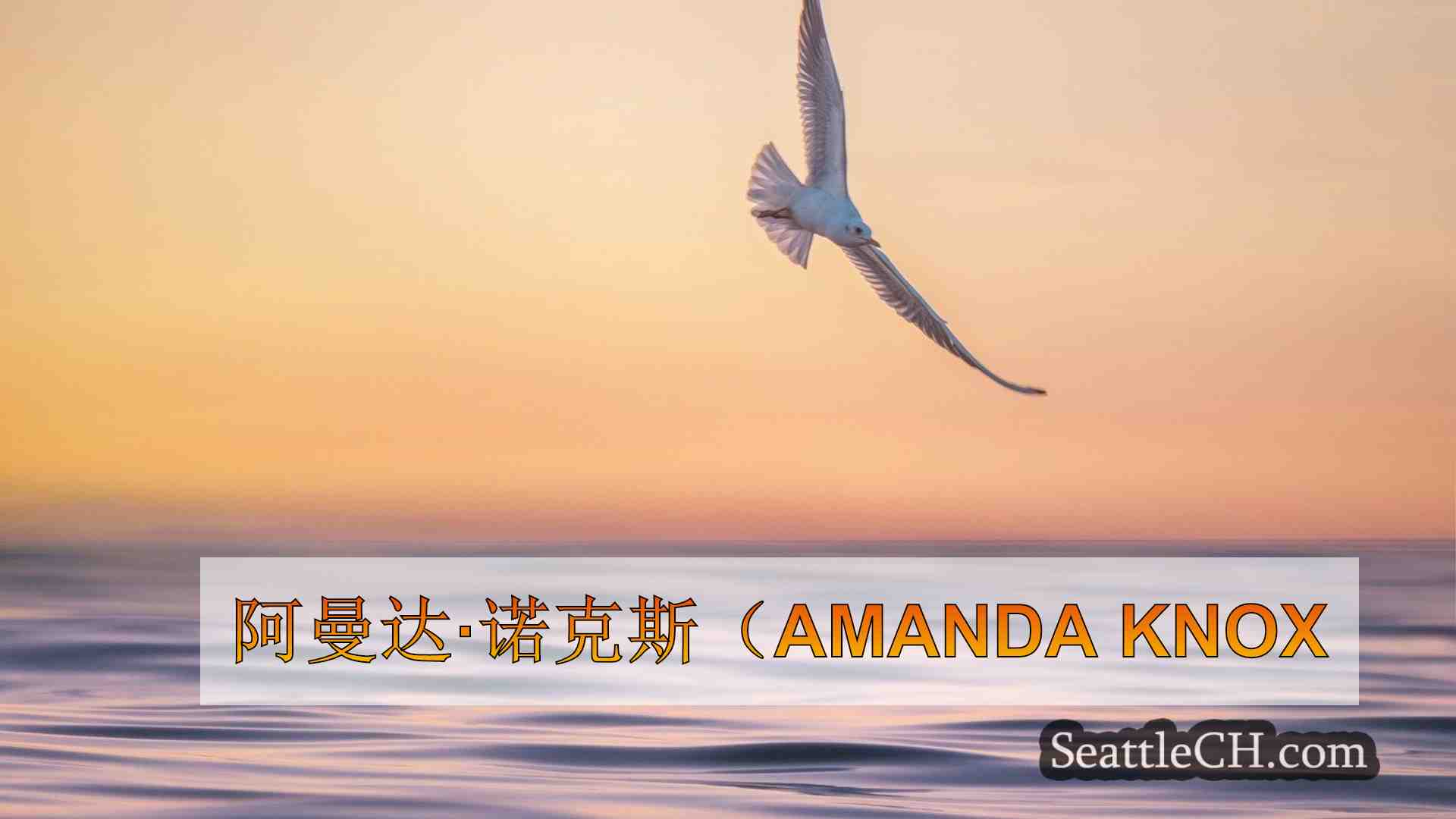 西雅图新闻 SeattleCH