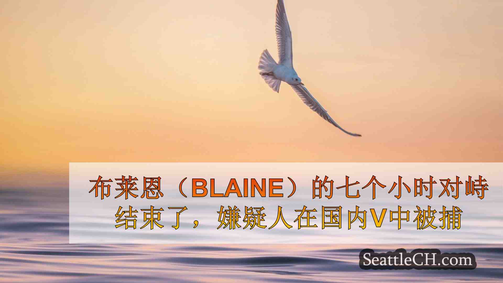 西雅图新闻 SeattleCH