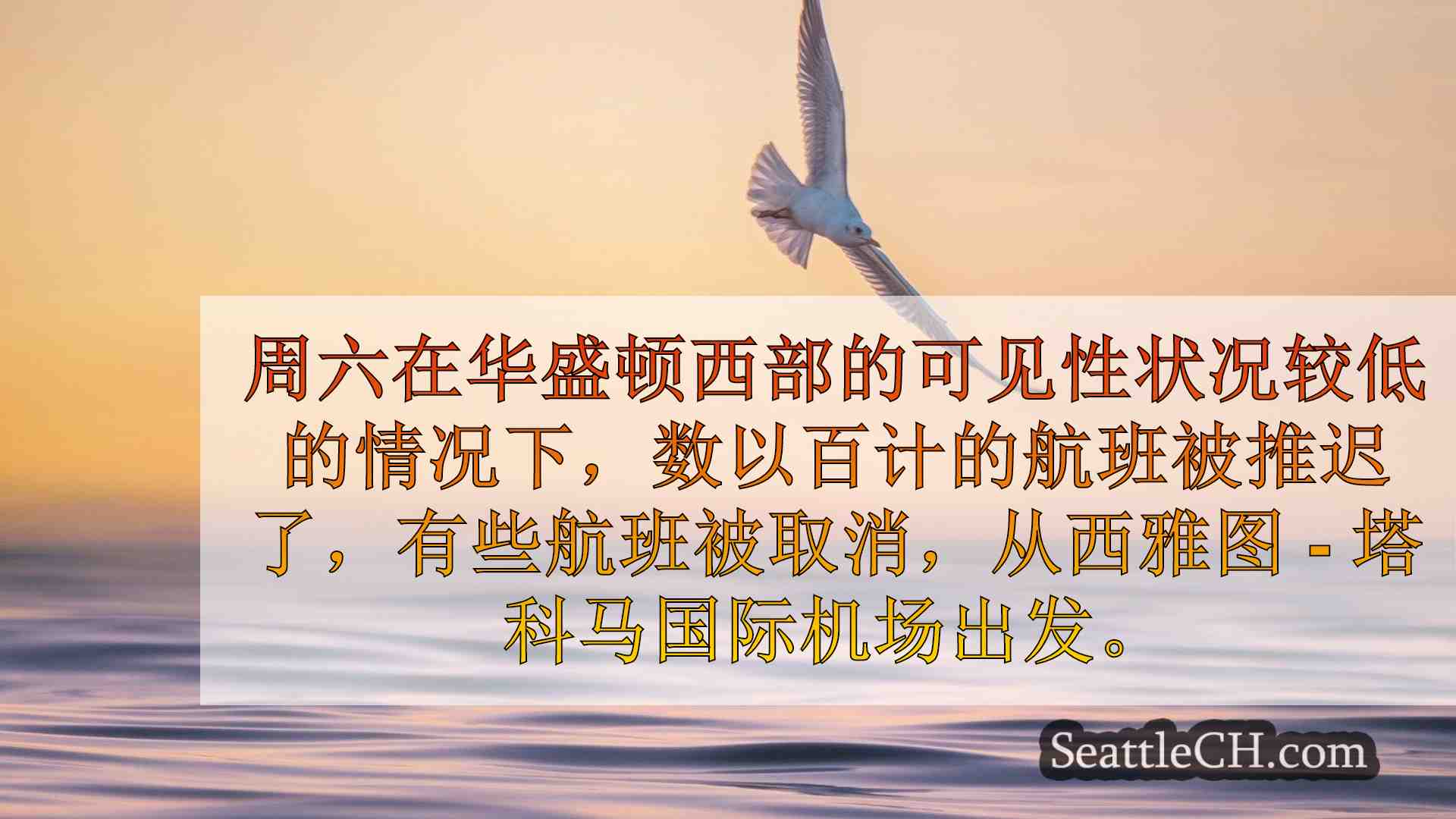 西雅图新闻 SeattleCH