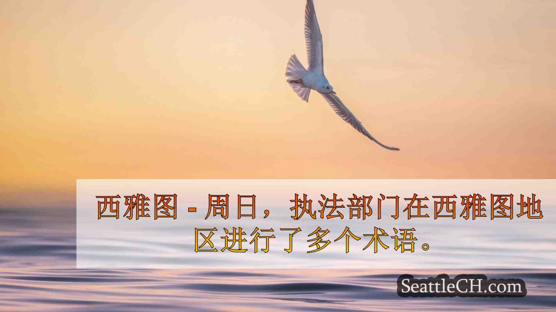 4岁的孩子在两次撞车事故发生后确定西雅图警察追逐嫌疑人