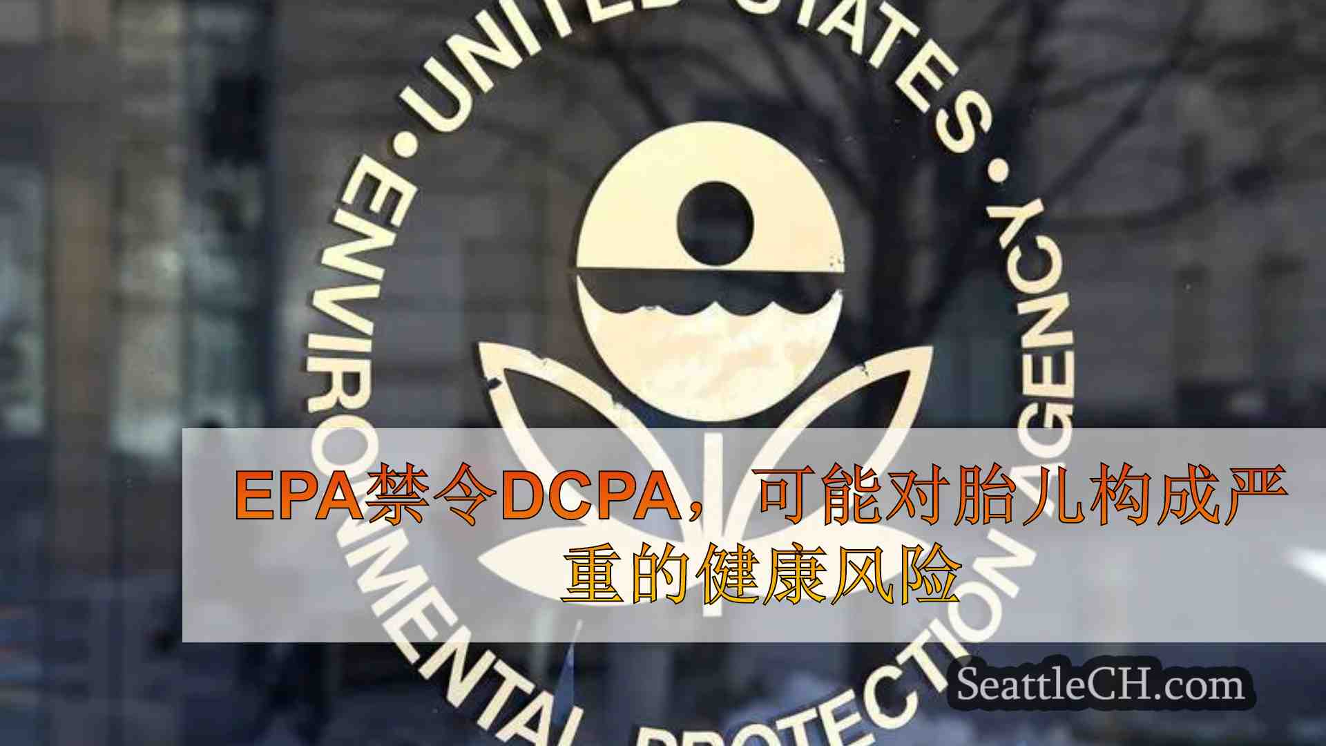 EPA禁令DCPA，可能对胎儿构成严重的健康风险