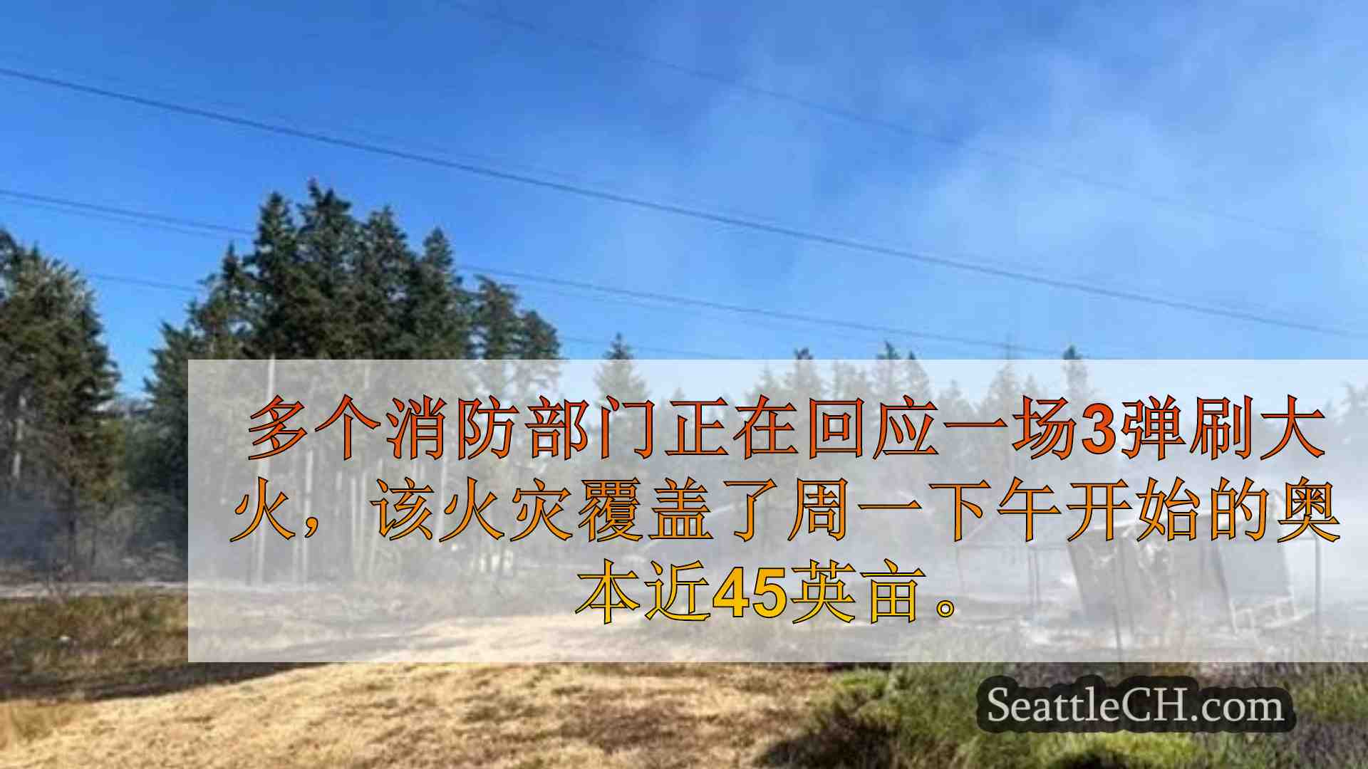 西雅图新闻 SeattleCH