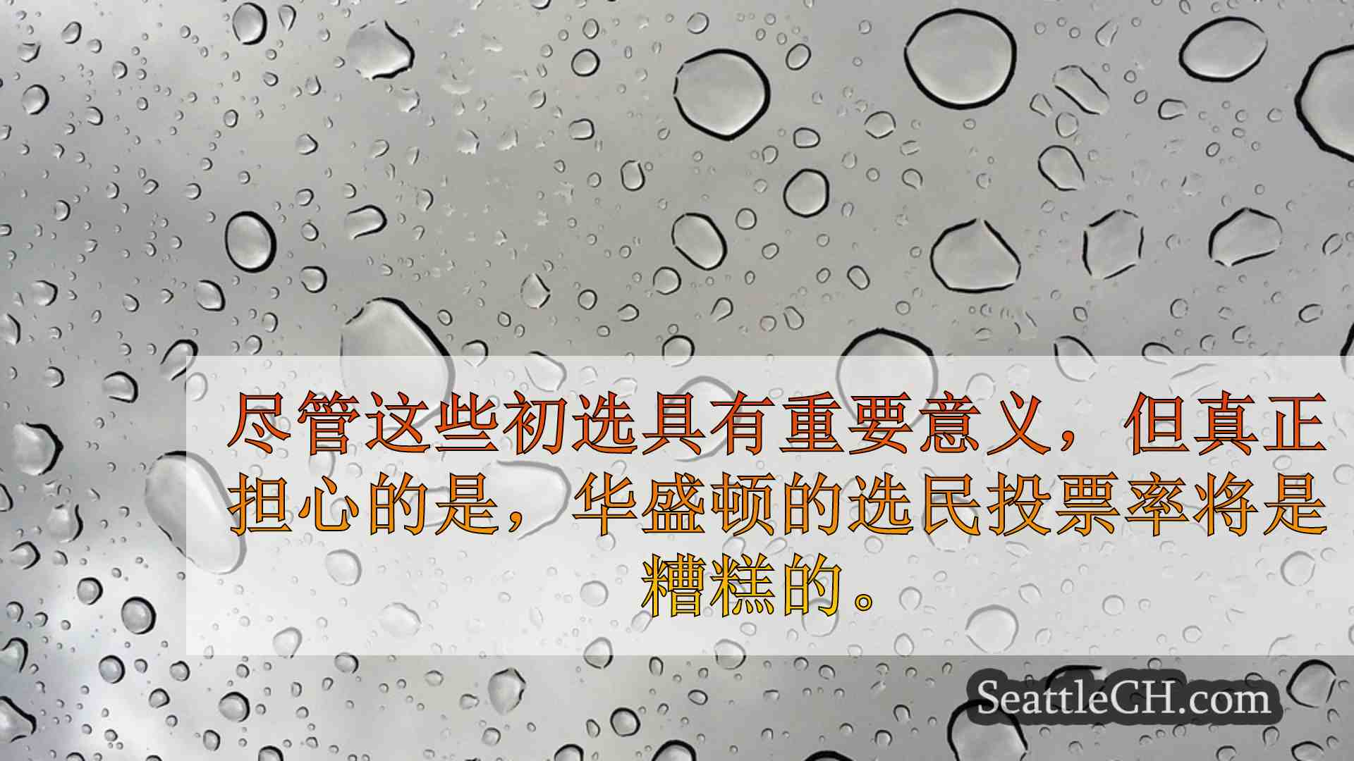 Tanya Woo，亚历克西斯·梅赛德斯·林克（Alexis Mercedes