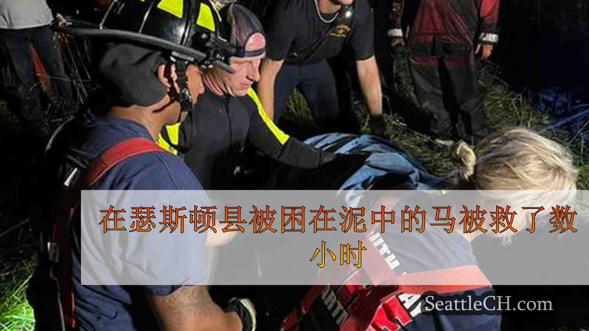 西雅图新闻 SeattleCH