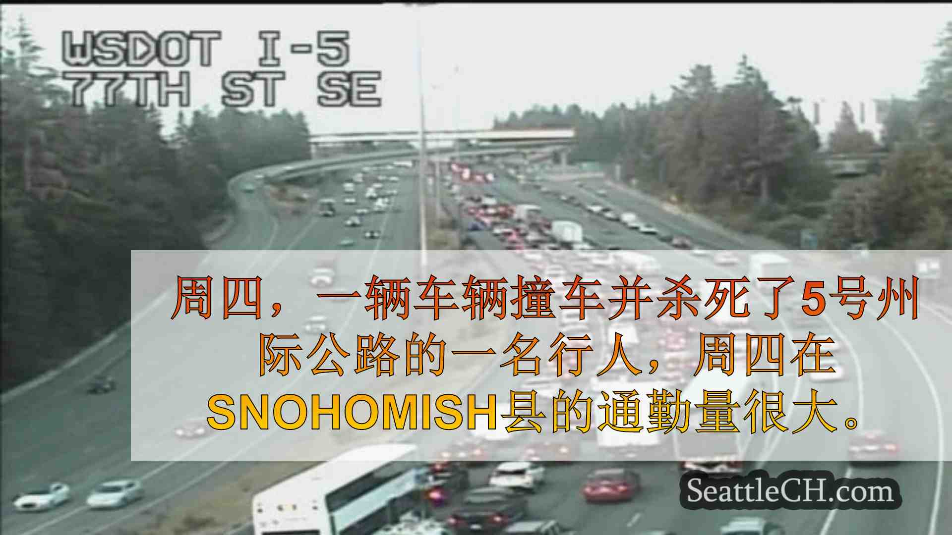 西雅图新闻 SeattleCH