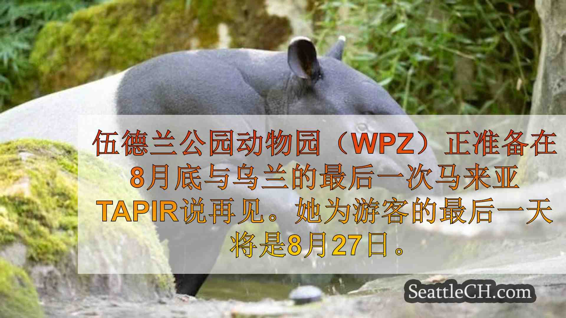 西雅图新闻 SeattleCH