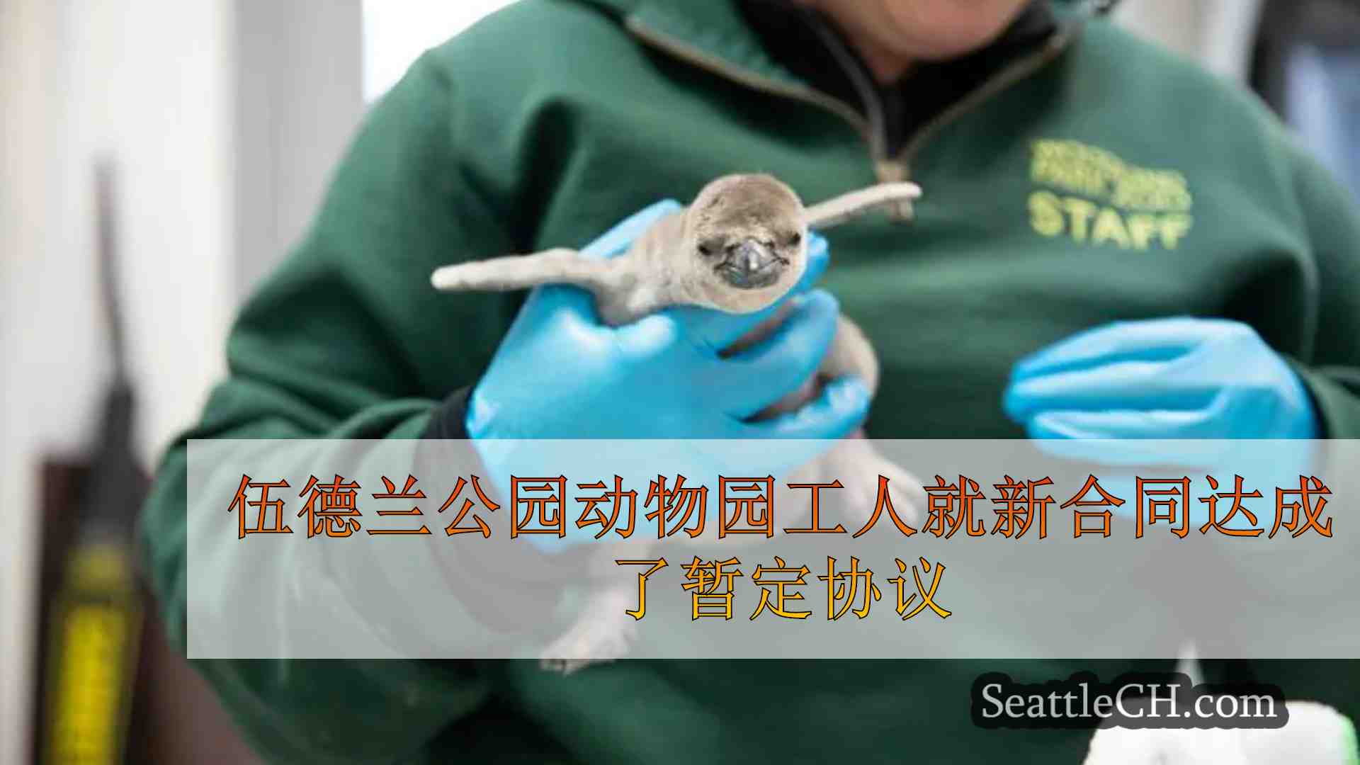 伍德兰公园动物园工人就新合同达成了暂定协议