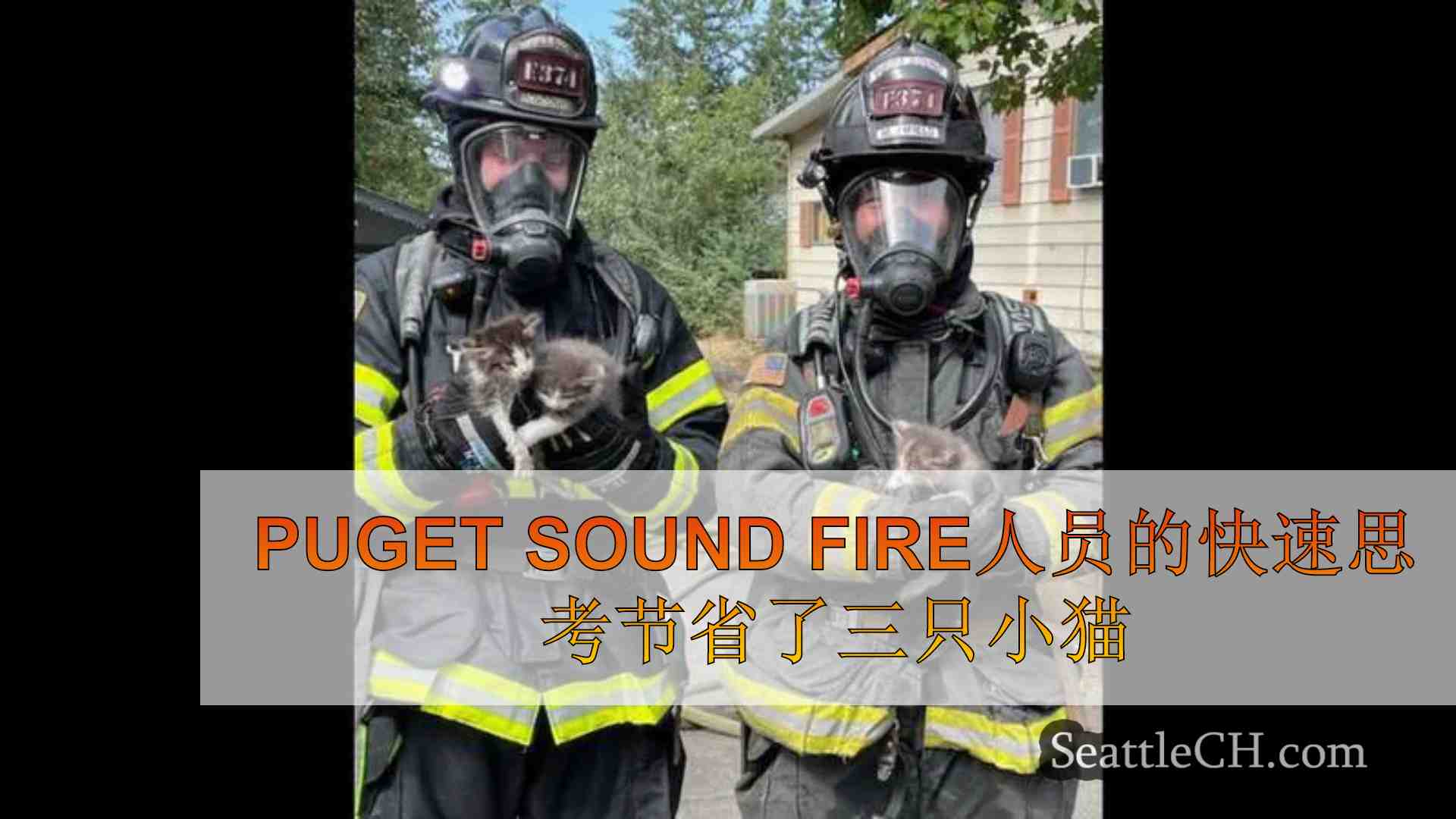 Puget Sound Fire人员的快速思考节省了三只小猫