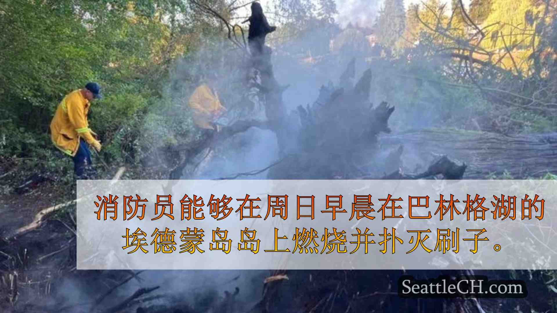 西雅图新闻 SeattleCH