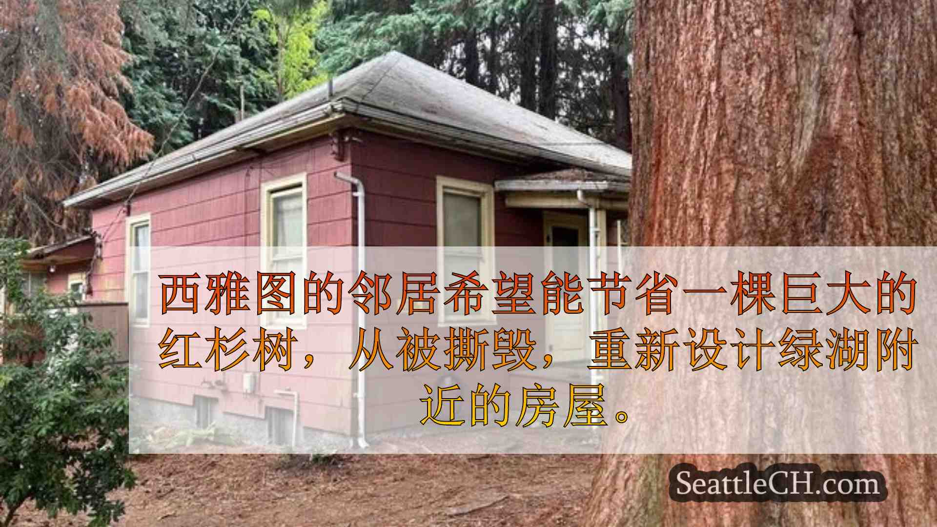 西雅图新闻 SeattleCH