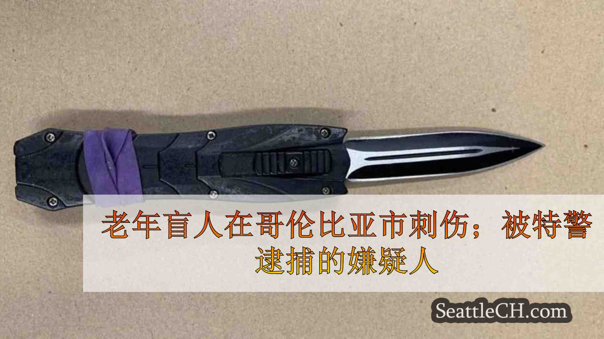 老年盲人在哥伦比亚市刺伤；被特警逮捕的嫌疑人