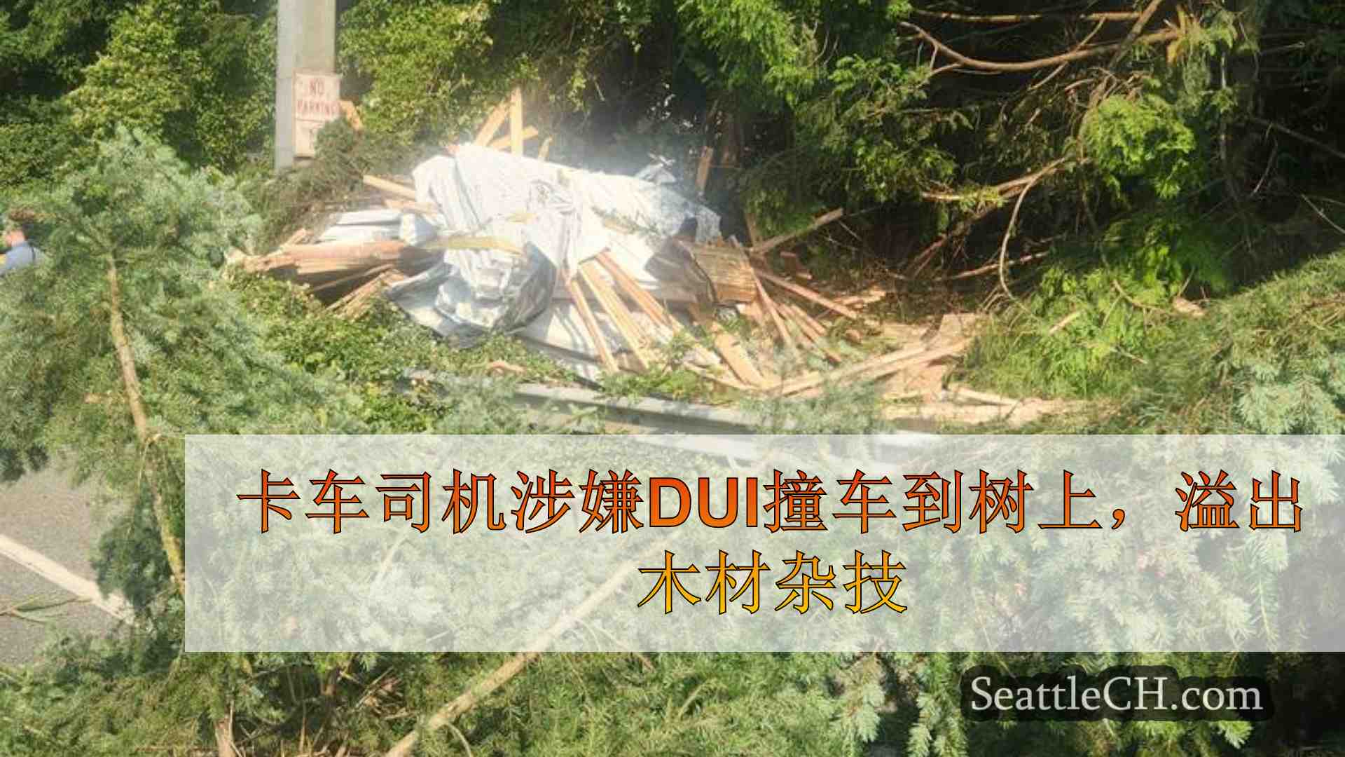 西雅图新闻 SeattleCH